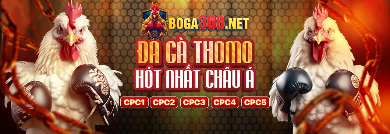 Sân đấu đá gà kịch tính tại Choangclub Login